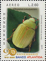 Rutelinae - Chrysina cusuquensis - timbre stamp sello estampilla - correo aero Honduras