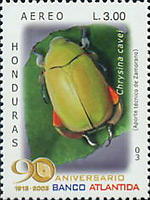Rutelinae - Chrysina cavei - timbre stamp sello estampilla - correo aero Honduras