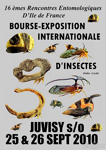 Bourse Internationale d'Insectes à Juvisy-sur-Orge - Septembre 2010 - 16èmes Rencontres Entomologiques d'Ile-de-France - affiche